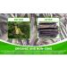 Lounik Prekese Tetrapleura Aidan Fruit- Bundle of 3 Packs - Buy Online on GoSupps.com