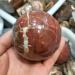 Natural Crystal Rough Home Decoration Natural Petrified Wood Ball Polished Specimen Stones - Buy Online on GoSupps.com