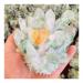 for 700g Natural Crystal Beautiful Flame Halo Quartz Crystal Cluster Specimen Crystal Cluster