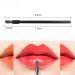 20PCS Disposable Lip Gloss Brushes - Black Lipstick Wands & Applicator - Multifunctional Makeup Tools for Women - Buy Online on GoSupps.com