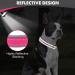 Joytale Softly Padded Neoprene Dog Collar for Medium Dogs - Reflective Wide Nylon Collar in Bright Pink (1 Pack) - International Shipping Available - Buy Online on GoSupps.com