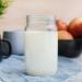 Nutrient Survival Powdered Vitamin Milk | Non-perishable #10 Can | 25 Year Shelf Life - Buy Online on GoSupps.com