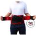 Koalaa Lumbar Back Support Belt | Spine Stabilization & Relief from Back Pain | Ischias & Iliosacral Support (S-XL) - Buy Online on GoSupps.com