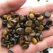 50g 100g 1000g Natural Yellow Tiger's Eye Stones - Crystal Healing Gravel for Fish Tanks & Flowerpots - Buy Online on GoSupps.com