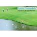 Floating Golf Balls for Water Practice | Set of 10 Floaters for Pond or Lake Range - Buy Online on GoSupps.com