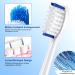 Fisteth Replacement Brush Heads for Olybo Electric Toothbrush - 6-Pack (3 Black & 3 White) - Optimal Clean & Compatibility - Buy Online on GoSupps.com