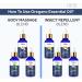 Oregano Oil |100% Pure & Natural Undiluted Essential Oil - 100ml - Buy Online on GoSupps.com
