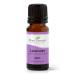Plant Therapy Lavender Essential Oil 100% Pure, Undiluted, Therapeutic Grade, for Aromatherapy Diffuser and Body Care Use, 10 mL (1/3 oz) 0.34 Fl Oz (Pack of 1)