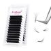 Self-fan eyelashes eyelash extension volume eyelashes for volume technology pimperer texts fadlash easy fan lashes 0.03 strength of single length 1 tray black (0.03mm-c-11)