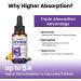 Liposomal Vitamin B Complex Liquid Sublingual B Complex Vitamins Supplement for Women Men Improved Absorption Methylated B12 B1 B2 B3 B5 B6 Folate Biotin for Energy And Immune Support-2.0 oz 2 Fl Oz (Pack of 1) - Buy Online on GoSupps.com