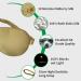 Silk Sleep Mask for Women/Men/Girls 19 Momme 100% Mulberry Silk Blackout Blindfold (Champagne Gold) - Buy Online on GoSupps.com