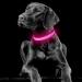 YFbrite Rechargeable LED Dog Collar - Pink Medium | Adjustable Light up Collar for Safety and Visibility at Night | Suitable for Puppy, Small, Medium, Large Dogs - Buy Online on GoSupps.com