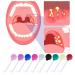 Tonsillenstein remover almond stones made of borosilicate glass for removing tonsil stones remove almond stone tool against bad breath oral care fresh breath (blue)