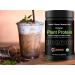 Buy Organic Plant Protein - Ketogenic Protein Powder (Chocolate) with Coconut & Avocado Oils - 440g - Best for Health & Fitness - Buy Online on GoSupps.com