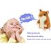 Qwifyu Talking Hamster Interactive Stuffed Plush Toy with Cute Sound Effects - Best Buddy for Kids, Age 3+ (Brown) - Buy Online on GoSupps.com