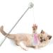 PETVERA Retractable Wand Cat Toy - Interactive Feather String Toy for Indoor Play - Best Teaser Laser Toy for Kittens - Blue Cat Fishing Stick - Buy Online on GoSupps.com