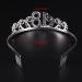 Frcolor Birthday Crystal Tiara Crown 18th Rhinestone Princess Queen Headband - Buy Online on GoSupps.com