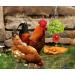 Chicken Toys for Hens Chicken Veggies Skewer Fruit Food Holder 3 Pcs Pet Chicken Vegetable Hanging Feeder Toy Stainless Steel Foraging Toy for Hens Large Birds Treat Skewer - Buy Online on GoSupps.com