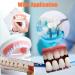 84 Pcs Complete Acrylic Resin Denture Teeth - 3 Sets Synthetic Polymer Denture Tooth in Shade A2 Upper + Lower - Dental Materials for Replacement, DIY or Halloween - Buy Online on GoSupps.com