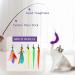 Songway Interactive Cat Toy Set - Retractable Sticks & 6 Replacement Springs with Bells | Multi-Colored Spring Rod Toy for Cats - Buy Online on GoSupps.com