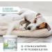 Reavet Ear Cleaner for Dogs & Cats - 100 Gentle Aloe Vera Pads for Ear Care | Mild Cleaning Towels - Buy Online on GoSupps.com