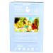 Lansinoh Disposable Nursing Pads - 36 Individually Wrapped for Ultimate Comfort & Leak Protection - Buy Online on GoSupps.com