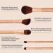 M. Asam Magic Finish Brush Set - 5 Essential Makeup Brushes for Flawless Application - Buy Online on GoSupps.com