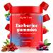 Kynis & co. Berberine Gummies with Ceylon Cinnamon and Apple Cider Vinegar - Sugar Free - Blueberry and Raspberry Flavor - 60ct - Supports metabolic and Digestive Health