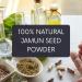 mGanna 100% Natural Jamun Seed Powder | Eugenia Jambolana for Soft Radiant Skin & Health Care | 0.5 LBS / 227 GMS - Buy Now - Buy Online on GoSupps.com