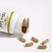 Natural Factors Olive Leaf 500 mg - 90 Capsules | Immune Support & Antioxidant - Buy Online on GoSupps.com