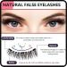 Dalarey Magnetic Lashes Dalarey Eyelashes Magnetic Magnetic Lashes Natural Look Reusable Natural Magnetic Eyelashes No Glue with Applicator Soft Magnets False Eyelashes Easy to Wear (Natural style) - Buy Online on GoSupps.com
