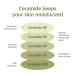 ROUND LAB Soybean Serum | Unscented Rejuvenating Serum for Sensitive Skin | Deep Nutrition & Hydration (1.69fl.oz) - International Shipping Available - Buy Online on GoSupps.com
