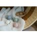 BIBS Couture Collection Pacifiers - Set of 2 Ivory/Sage | BPA-Free Soothers - Buy Online on GoSupps.com