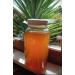 Buy Organic Kombucha SCOBY - Live Culture Limited Edition | Best for Home Brewing - Buy Online on GoSupps.com