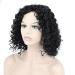 BGHJUE Short Curly Wig - Brazilian Lace Front Human Hair Wig with Baby Hair 35cm Black - International Shipping - Buy Online on GoSupps.com