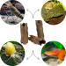 Buy Garpet Aquarium Decoration Cave Tube - Natural Wood Root Aquarium Decor - Buy Online on GoSupps.com