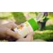 Babyganics SPF 50 Travel Size Kids Sunscreen Stick 1.6oz (Pack of 2) | UVA UVB Protection | Water & Sweat Resistant | Non Allergenic - Buy Online on GoSupps.com
