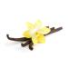 Buxtrade 100 g Vanillin 100% pure - aroma vanilla almonds vanilla aroma refine