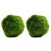 k2aqua 2 Large Marimo Moss Balls Always Fresh Live Aquarium Plant Cladophora aegagropila K2AQUA