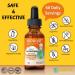 Kiddivit Baby Lactoferrin Liquid Drops - 2 Fl Oz - Sugar Free, Gluten Free, Vegetarian - With Inulin Prebiotic Fiber - 60 Daily Servings - Buy Online on GoSupps.com