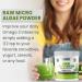 AKI Marine Phytoplankton Powder - Source of Raw Omega-3 EPA Micro Algae Nannochloropsis - Plant Based Proteins Vitamins for Overall Wellness - Complete Protein Source Vegan & GMO Free (2oz/57g) - Buy Online on GoSupps.com