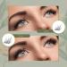 False Eyelashes & Lash Extension Kit | 40pcs D Curl Cluster Lashes Eyelash Glue Included | Natural & Reusable 10-12mm Easy to Use - Buy Online on GoSupps.com