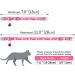 Tagme Personalized Cat Collar - Adjustable Safety Neck Band for Cats (2-Pack) - Pink - Custom Name & Phone Number Fits 18-28 cm - Buy Online on GoSupps.com
