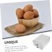 Refrigerator Organizer Tray Container Kitchen Countertop Storage Holder Large -layer Egg re-usable - Buy Online on GoSupps.com