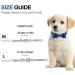 Asvin Personalized Velvety Dog Collar - Adjustable & Removable for Small Medium Large Dogs (L Deep Blue) - International Shipping Available - Buy Online on GoSupps.com