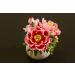 Buy Decorative Magic24 Professional Flower Paste 500g - Edible Sugar Paste in 11 Colors for Perfect Flowers & Decorations - Coral Red - Buy Online on GoSupps.com