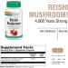 Solaray Reishi Mushroom 600 mg | 100 Capsules - Immune Support & Wellness - Buy Online on GoSupps.com