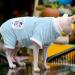 Rayminsino Sphinx Litter Clothing for Pets - Highly Elastic Four-Legged Kitten Apparel in SS Blue | Ideal for Hairless Cats | International Shipping - Buy Online on GoSupps.com