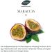 Saunabedarf Schneider Passion Fruit Sauna Infusion Concentrate 250ml - Enhance Your Sauna Experience - Buy Online on GoSupps.com