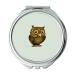 Mirror makeup mirror owl babies Backgrounds Brown owl on a blue background pocket mirror portable mirror